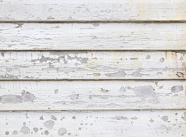 Best Property Management Cleanouts  in East Providence, RI